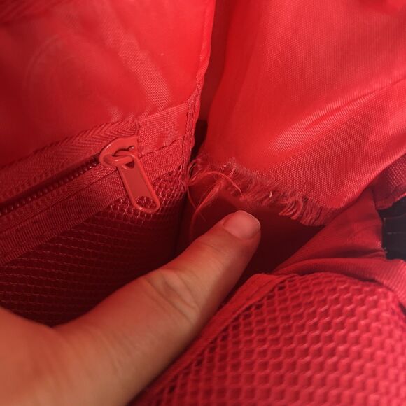 SPRAYGROUND TWEETY VS SYLVESTER (DLXR) - Looney Tunes Bag - Limited Edition - Picture 10 of 11